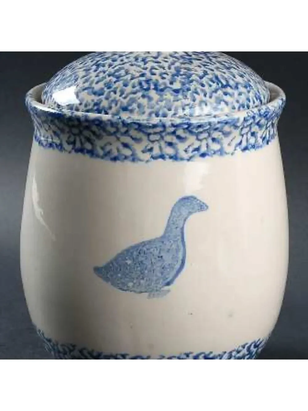 TIENSHAN Sponge Blue Goose Large Canister & Lid